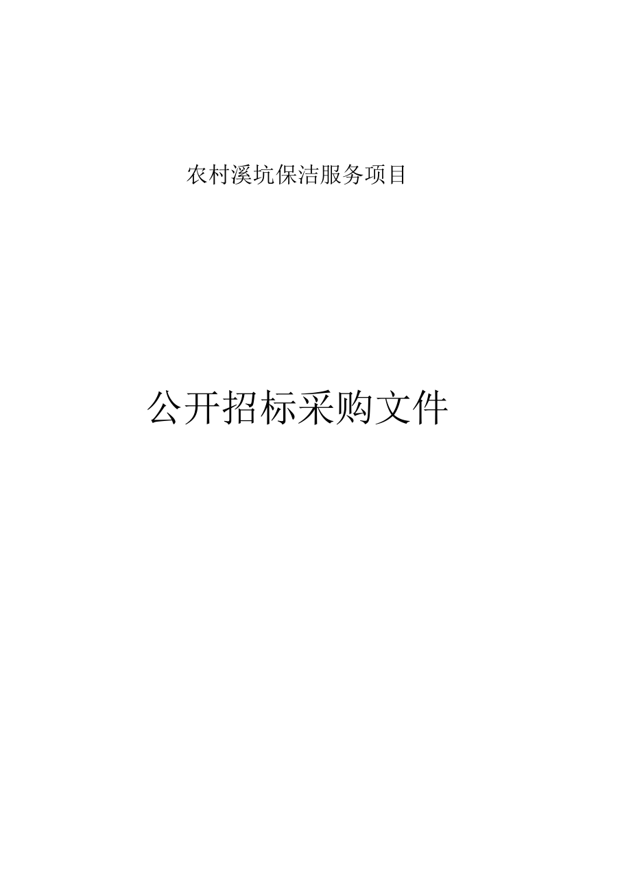 农村溪坑保洁服务项目招标文件.docx_第1页