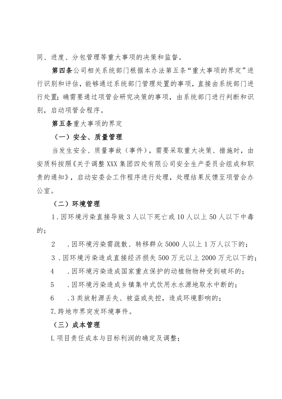 公司项目管理委员会工作办法.docx_第2页