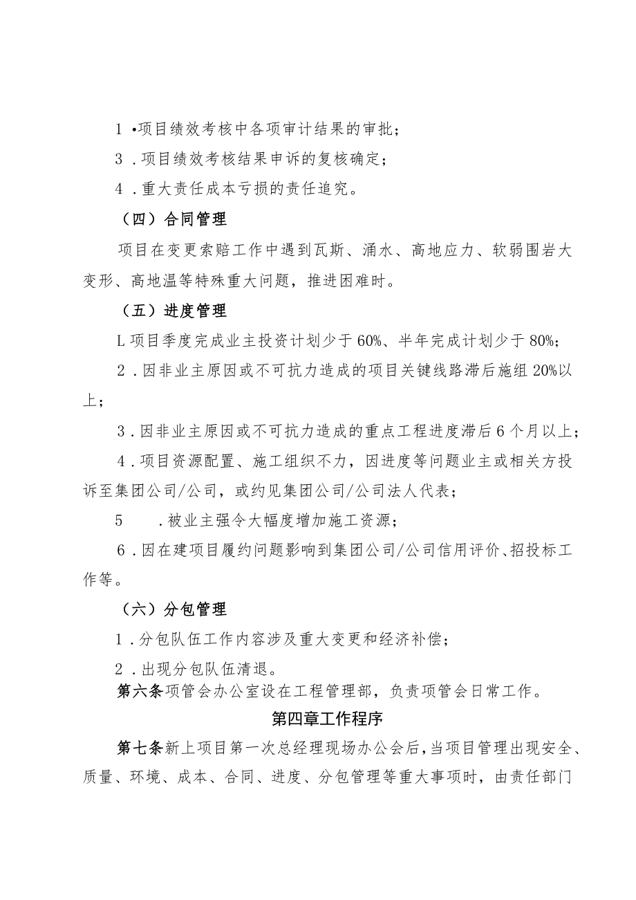 公司项目管理委员会工作办法.docx_第3页