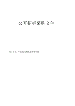 中医院采购电子肠镜项目招标文件.docx