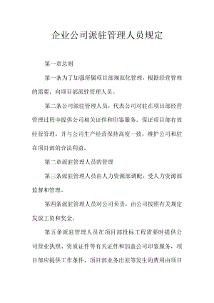 企业公司派驻管理人员规定.docx