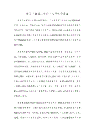 学习“数据二十条”心得体会发言.docx