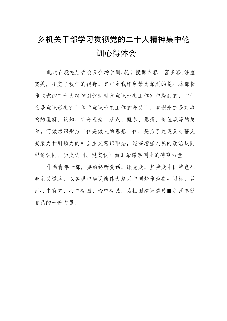 乡机关干部学习贯彻党的二十大精神集中轮训心得体会.docx_第1页