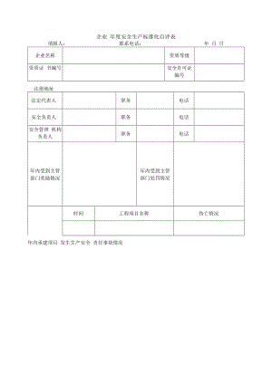 企业 年度安全生产标准化自评表.docx