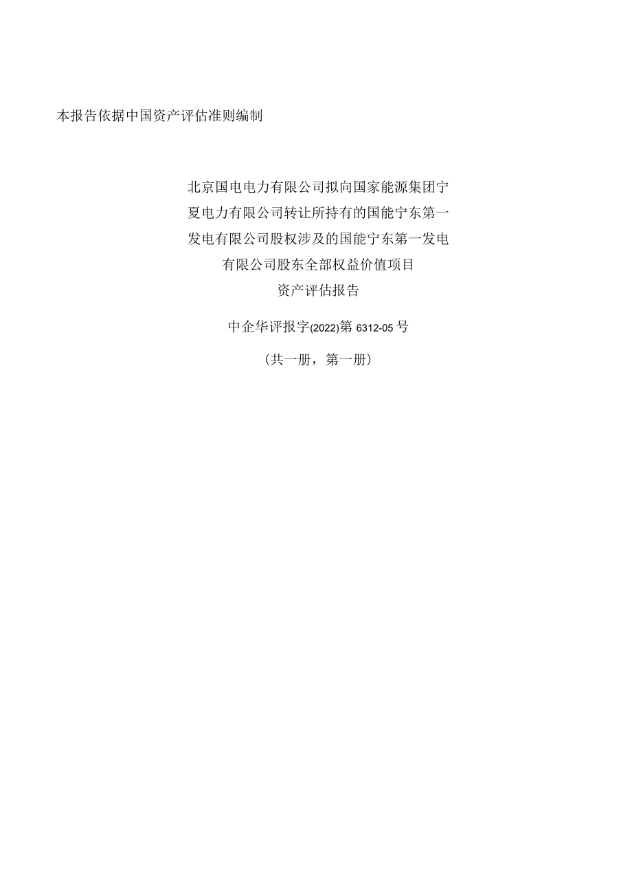 国能宁东第一发电有限公司评估报告.docx_第1页