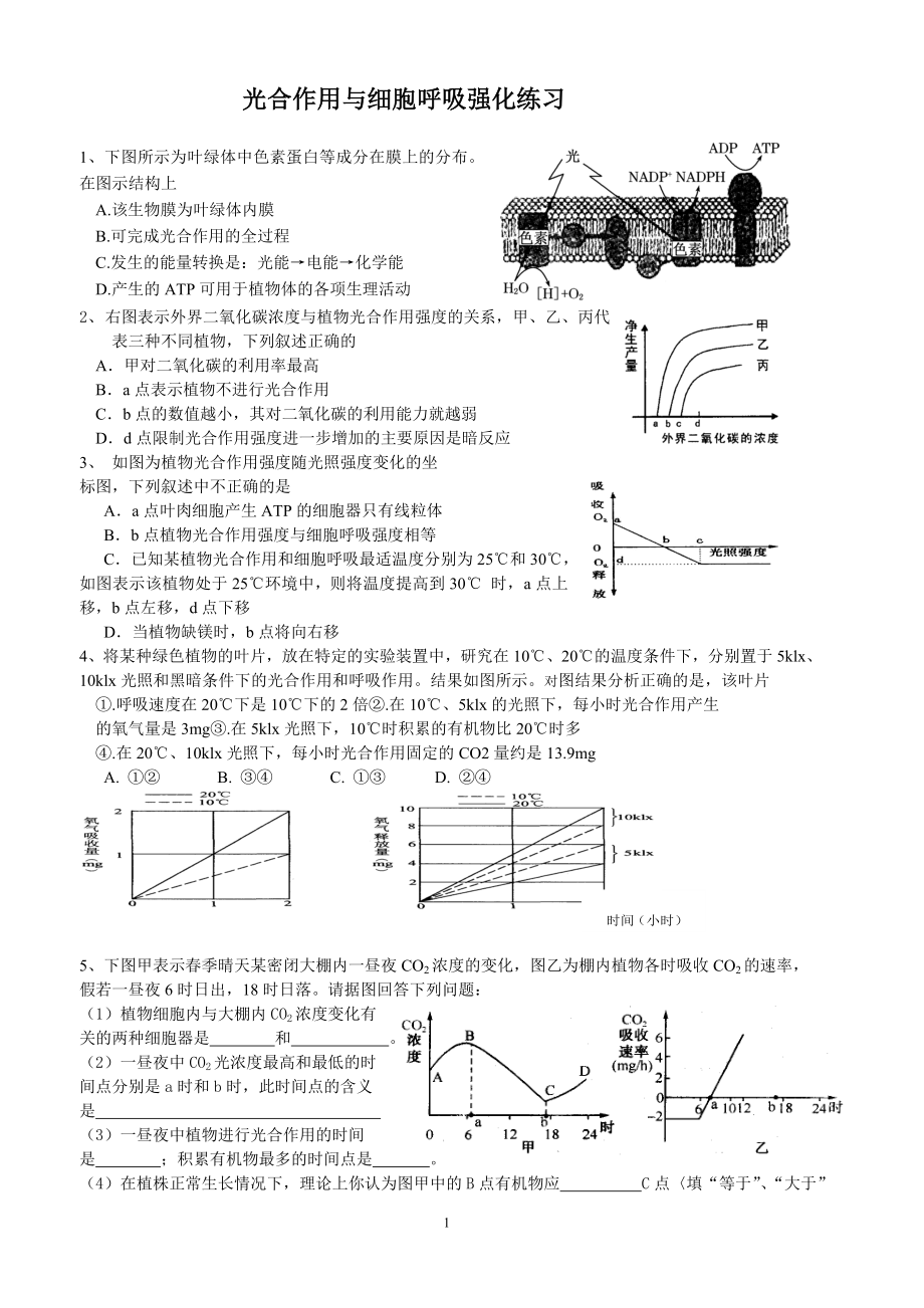 光合呼吸强化练习.doc_第1页