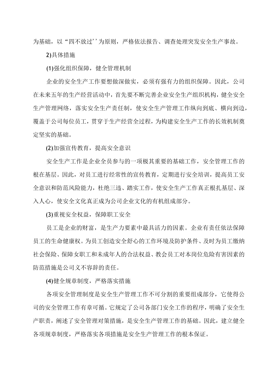 危险货物运输公司中长期规划通用.docx_第3页