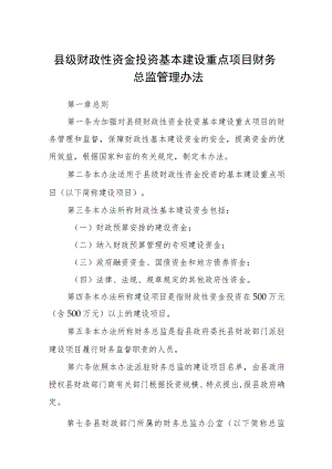 县级财政性资金投资基本建设重点项目财务总监管理办法.docx