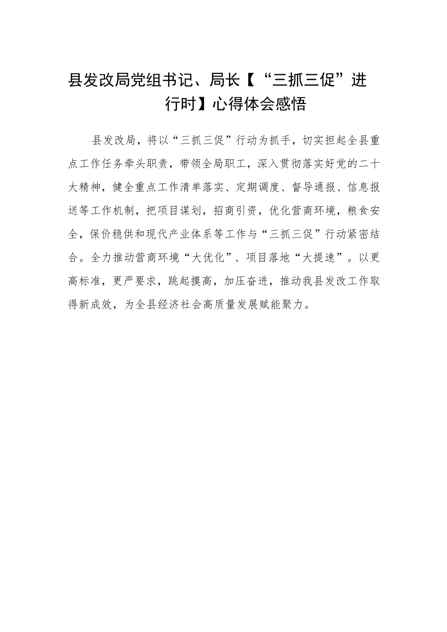 县发改局党组书记、局长【“三抓三促”进行时】心得体会感悟.docx_第1页