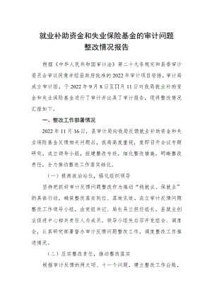 就业补助资金和失业保险基金的审计问题整改情况报告.docx