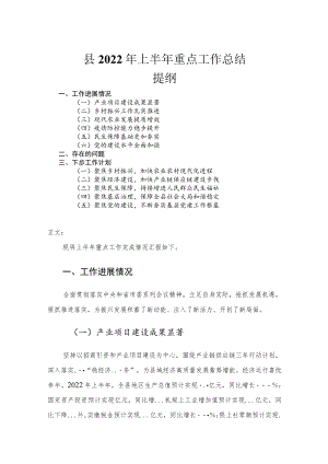 县2022年上半年重点工作总结.docx