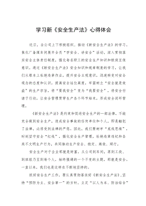 地铁人员学习新《安全生产法》心得体会六篇例文.docx