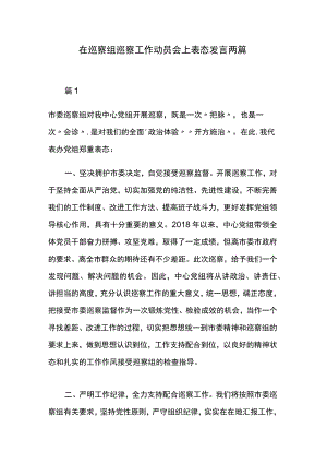 在巡察组巡察工作动员会上表态发言两篇.docx