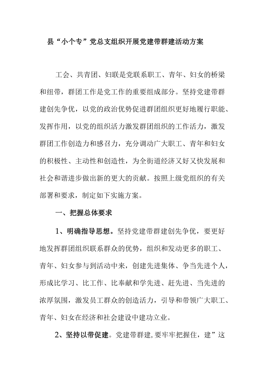 县小个专党总支(党委)组织开展党建带群建活动方案.docx_第1页