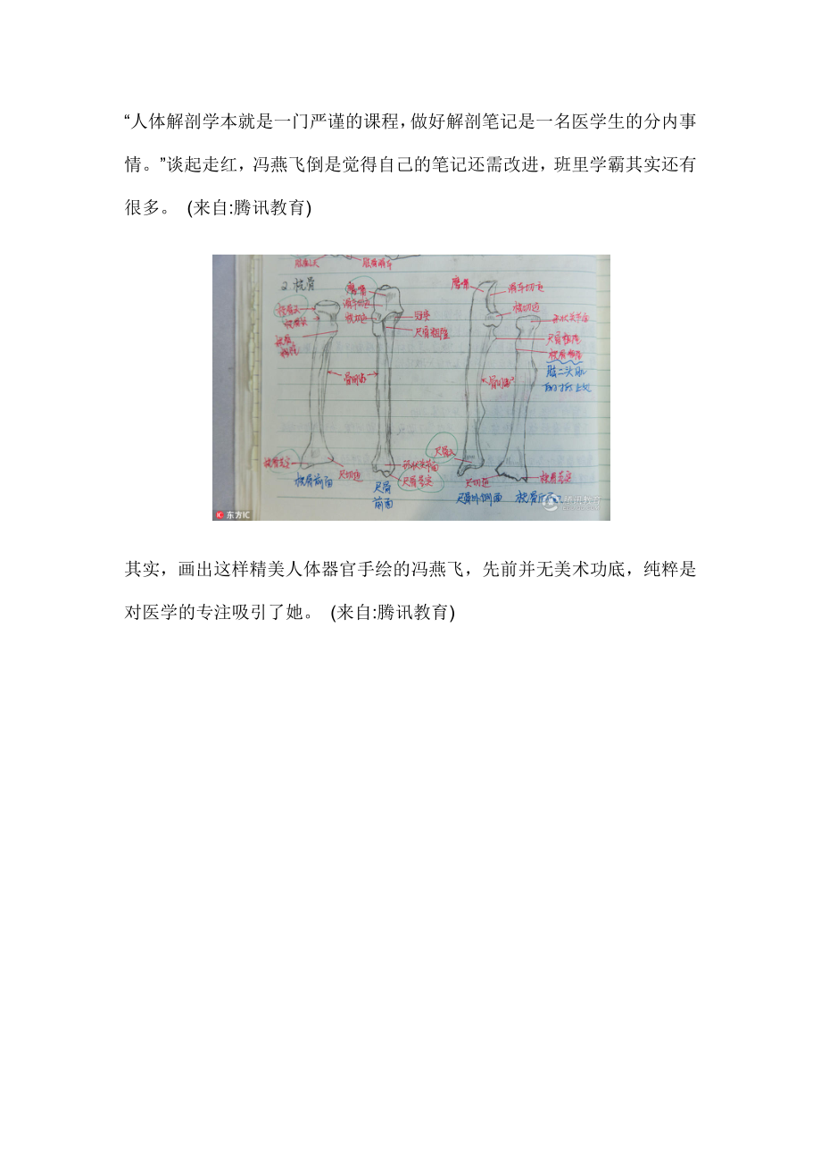 医学女生手绘解剖图走红精美似插画.docx_第2页