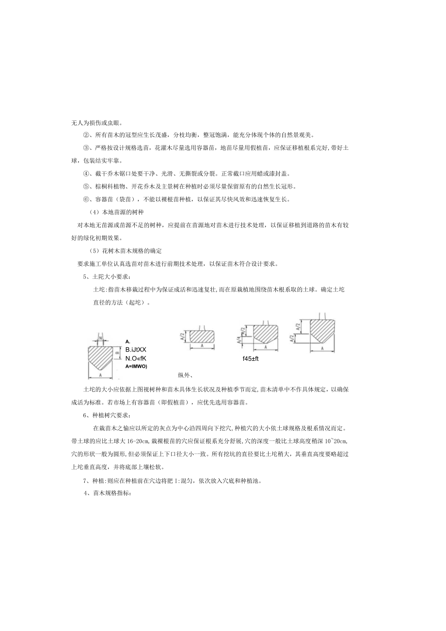 图书馆配套道路东侧路工程--绿化工程设计说明.docx_第3页