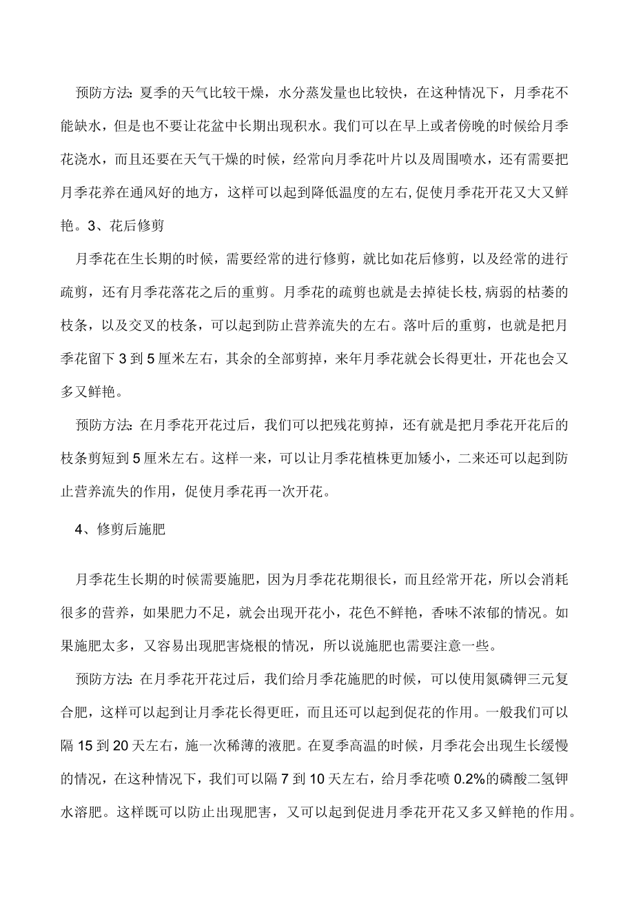 夏季月季花越开越小是哪些原因造成的如何预防.docx_第2页