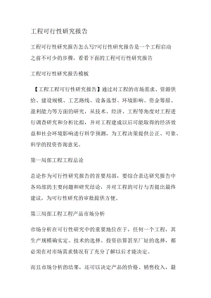 工程可行性研究报告.docx