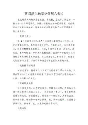 新栽速生杨夏季管理六要点.docx