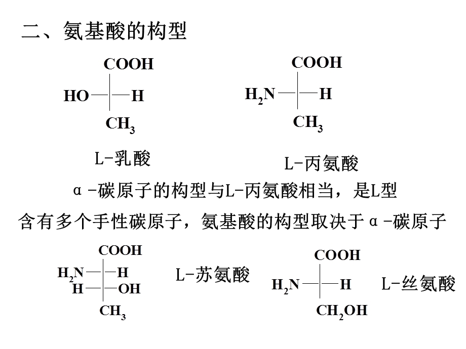 有机化学氨基酸分析.ppt_第3页