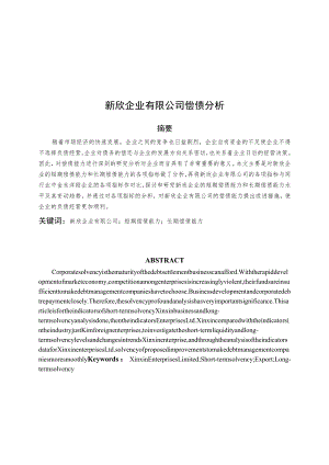 新欣企业有限公司偿债分析.docx