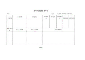 新中标工程项目简介表.docx