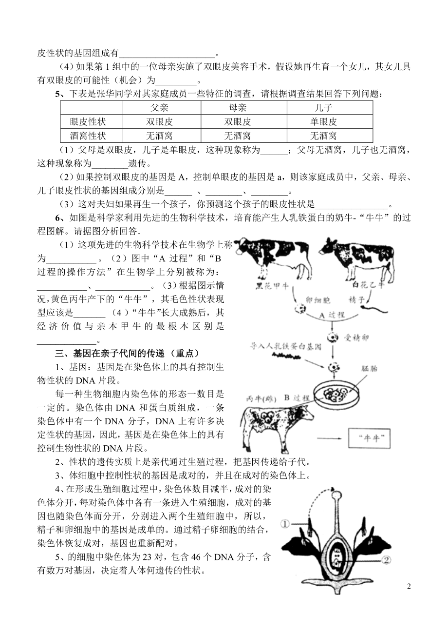 新人教版八年级生物下册中考复习资料.doc_第2页