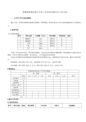 智慧流体事业部（水泵）上半年总结及下半年工作计划.docx