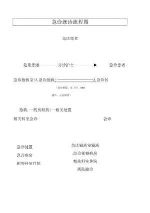 急诊就诊流程图.docx