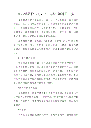 康乃馨养护技巧你不得不知道的干货.docx