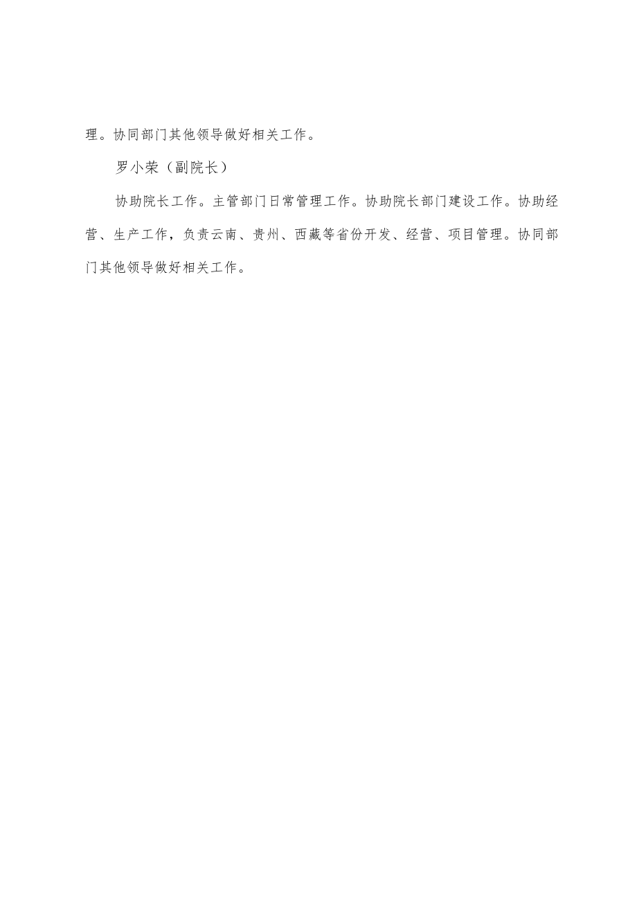 智能交通设计院领导职责分工.docx_第2页