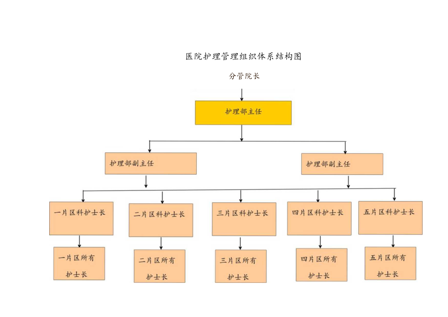 护理组织管理体系结构图.docx_第1页