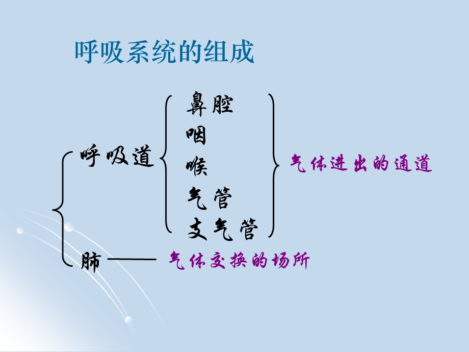 人体和外界环境的气体交换.ppt_第3页