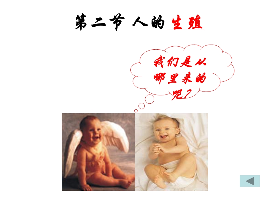 微课件《人的生殖》.ppt_第1页