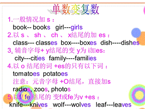 名词单复数复习.ppt