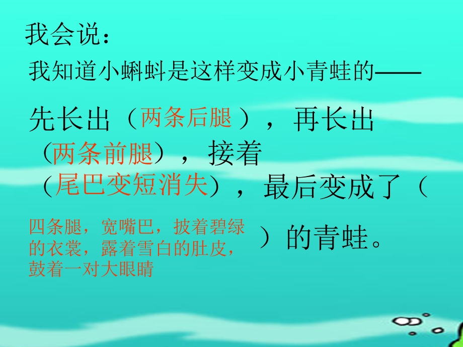 小蝌蚪找妈妈 (4).ppt_第3页