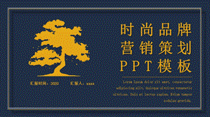 时尚品牌营销策划PPT模板 1.pptx