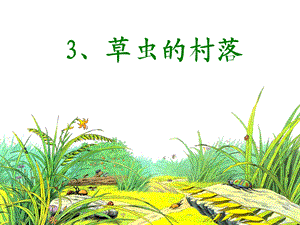 人教版六年级3草虫的村落.ppt