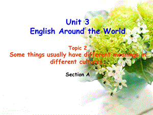 伍Unit3Topic2SectionA2.ppt