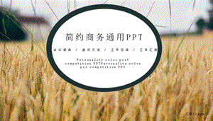 简约商务通用PPT模板 .pptx