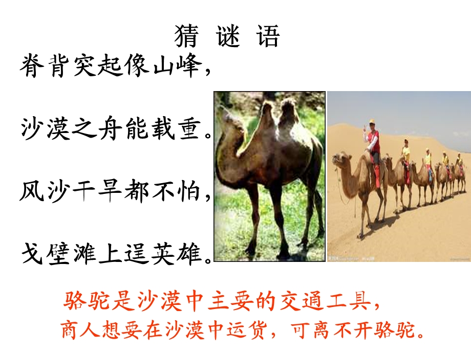 找骆驼 (2).ppt_第3页