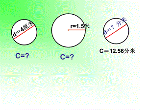 圆的周长练习.ppt