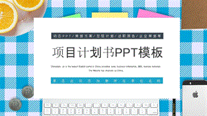 扁平工作总结汇报商业项目计划书PPT模板.pptx