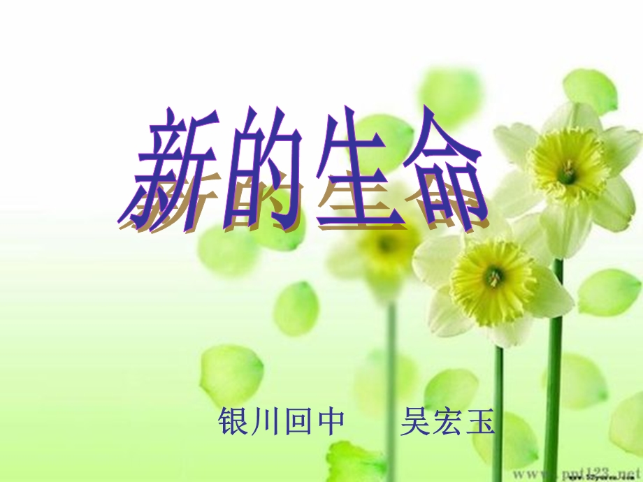 新的生命1.ppt_第1页