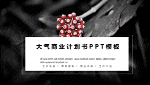 黑红大气商业计划书免费PPT模板.pptx