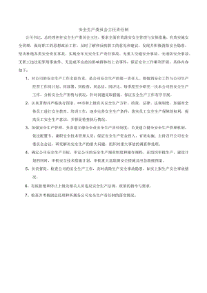 某公司安全生产委员会主任责任制.docx