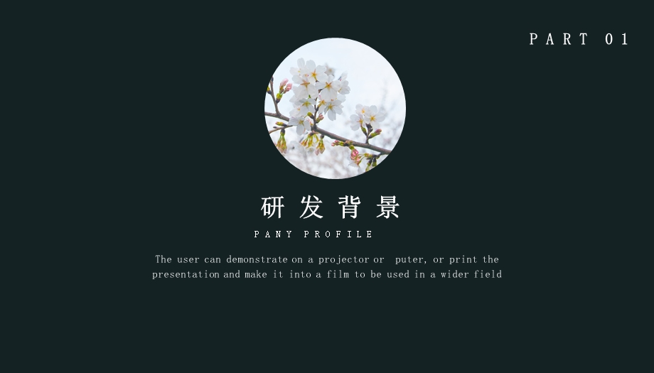 简约商业计划书PPT模板 14.pptx_第3页