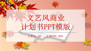 文艺风商业计划书PPT模板.pptx