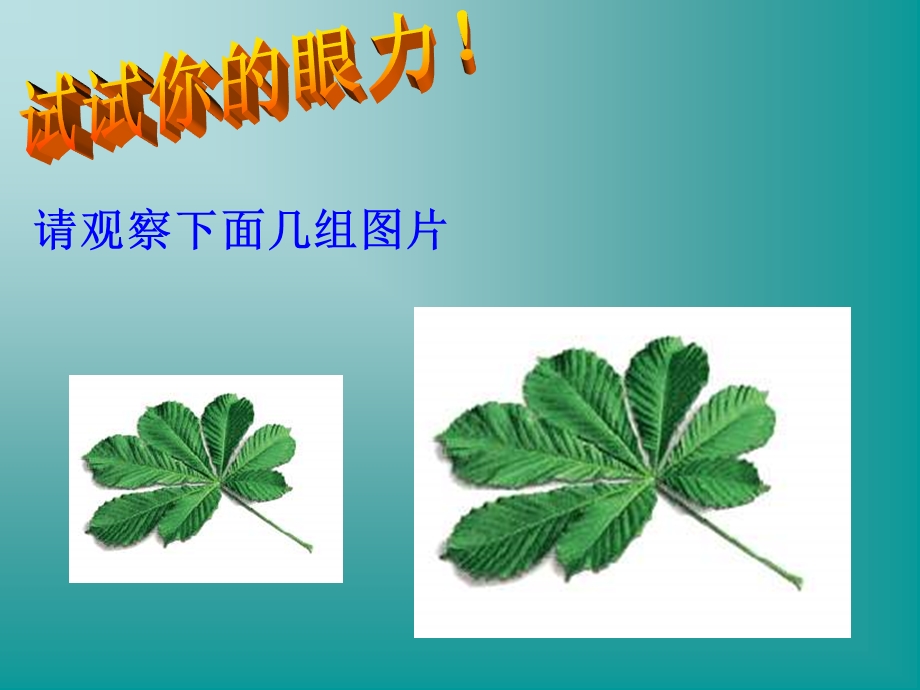 九年级数学图形的相似1.ppt_第2页