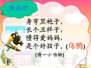 乌鸦喝水PPT课件 (3).ppt